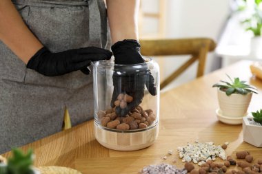 Genişletilmiş killi ve sulu bitkileri olan bir kadın. Yakın plan. İlgi çekici hobi