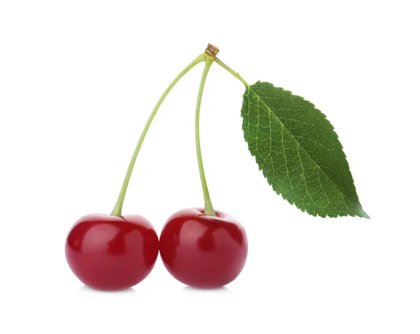 Sweet Red Cherries Leaf Isolated White — Stock Photo, Image