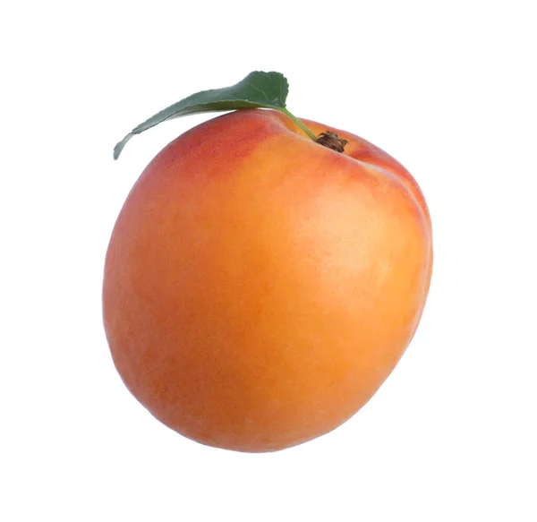 Delicious Fresh Ripe Apricot Isolated White — Stock Photo, Image