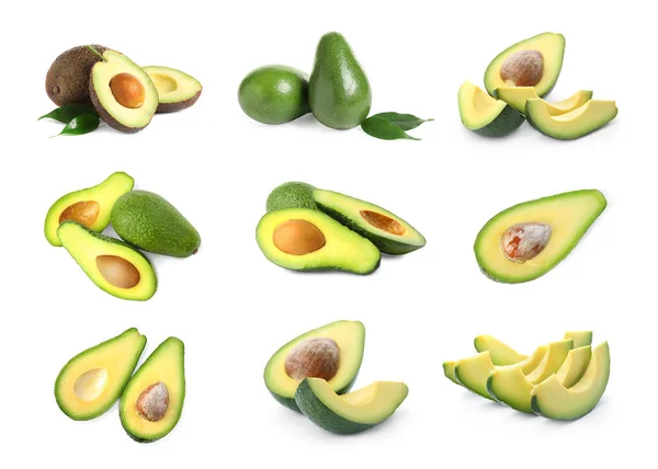 Set Van Gesneden Hele Avocado Witte Achtergrond — Stockfoto