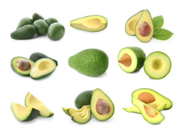 Set Van Gesneden Hele Avocado Witte Achtergrond — Stockfoto