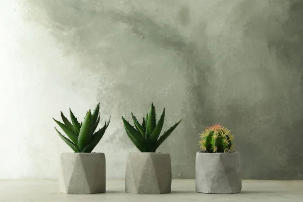 Plantas Artificiales Macetas Sobre Tabla Piedra Gris Claro — Foto de Stock