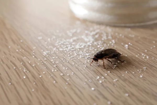 Cucaracha Azúcar Esparcida Mesa Madera Primer Plano Control Plagas — Foto de Stock