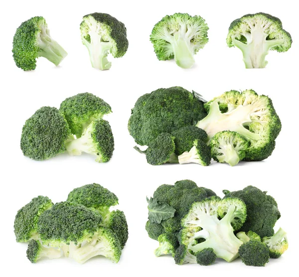 Set Fresh Green Broccoli White Background — Stock Photo, Image