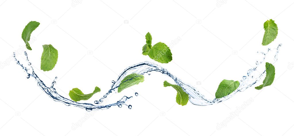 Set of flying green mint leaves with splash of water on white background. Banner design