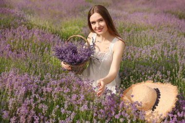 Hasır şapkalı ve sepet dolusu lavanta çiçekli genç bir kadın.