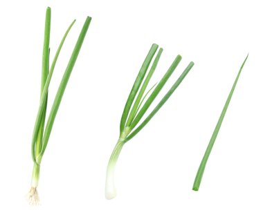 Beyaz arkaplanda taze yeşil taze taze soğan