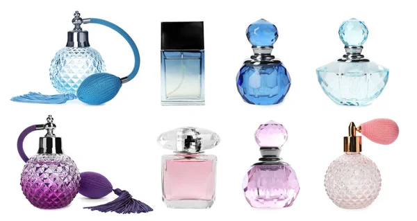 Set Different Bottles Perfume White Background — Stock Photo, Image