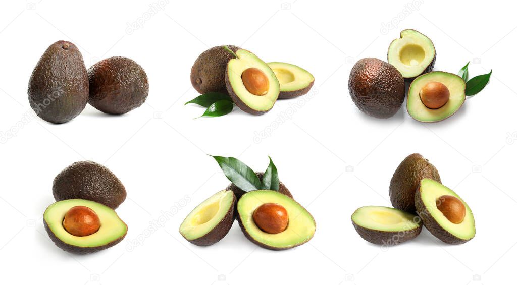 Set of cut and whole avocados on white background, banner design