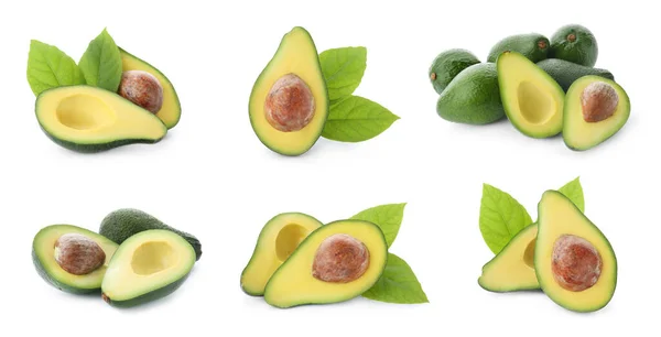 Set Van Gesneden Hele Avocado Witte Achtergrond Banner Design — Stockfoto