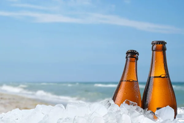 Flessen Bier Ijsblokjes Tegen Wazige Zee Ruimte Voor Tekst — Stockfoto