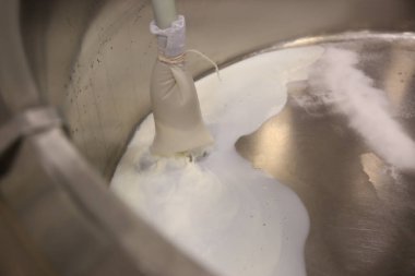 Peynir fabrikasındaki kaymak hazırlama tankına süt dökmek, yakın plan.