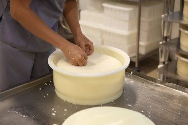 Modern fabrikada küften taze peynir alan işçiler, yakın plan.