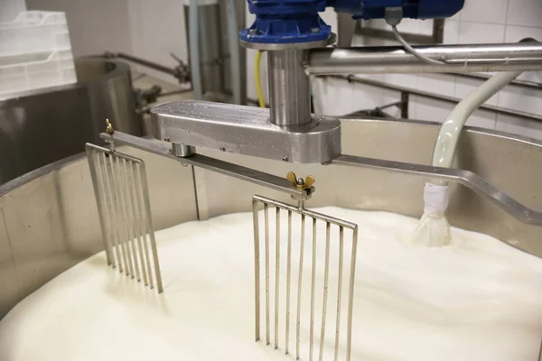 Pouring Milk Curd Preparation Tank Cheese Factory — Stock Photo, Image