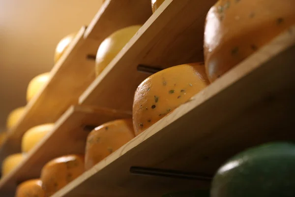 Cabeças Queijo Fresco Rack Armazém Fábrica Close — Fotografia de Stock