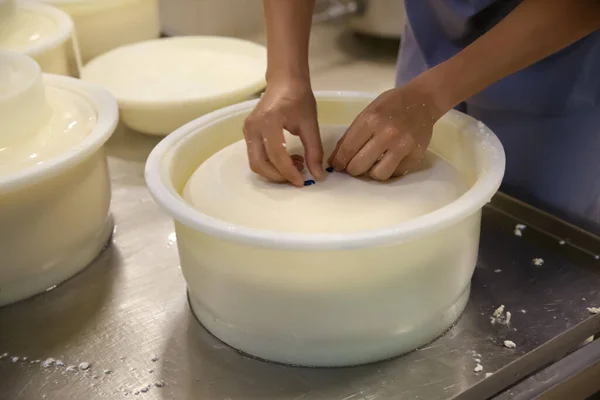 近代的な工場で新鮮なチーズを飾る労働者 クローズアップ — ストック写真