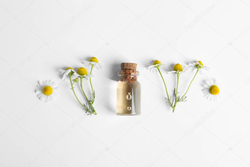 Flat lay composition with chamomile essential oil on white background