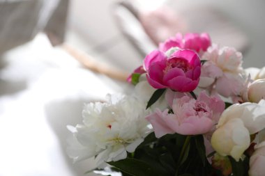 Bulanık arka planda güzel çiçek açan şakayıklar, yakın plan. Metin için boşluk