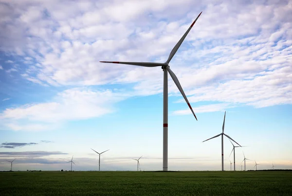 Prachtig Uitzicht Het Veld Met Windturbines Alternatieve Energiebron — Stockfoto