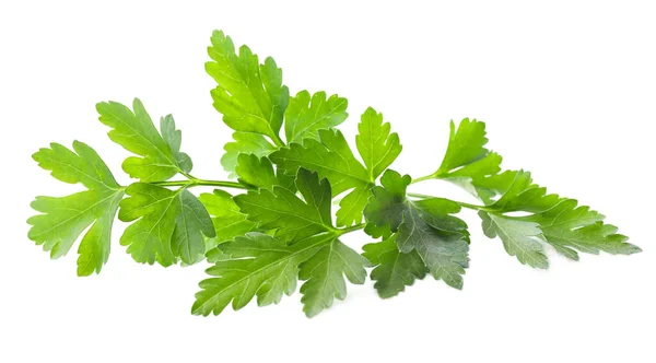 Fresh Green Organic Parsley Isolated White — Stock Photo, Image