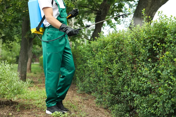 Trabalhador Pulverizando Pesticida Arbusto Verde Livre Close Controlo Pragas — Fotografia de Stock