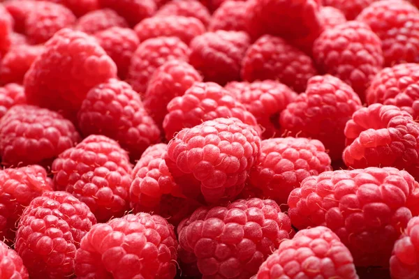 Framboises Fraîches Mûres Sucrées Comme Fond Gros Plan — Photo