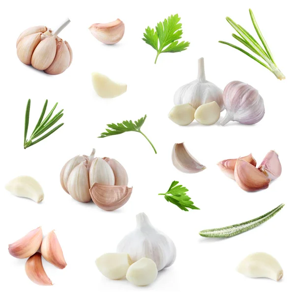 Set Fresh Garlic Different Seasonings White Background — Stock Photo, Image