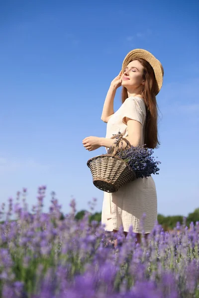 Jonge Vrouw Met Rieten Mandje Vol Lavendel Bloemen Het Veld — Stockfoto