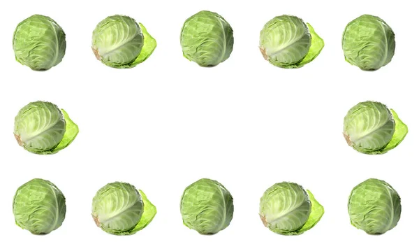 Frame Fresh Ripe Cabbages White Background Banner Design — Stock Photo, Image