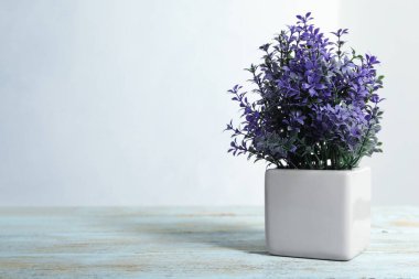 Yapay bitki, çiçek saksısında, açık mavi ahşap masada. Metin için boşluk