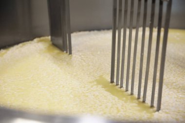 Peynir fabrikasındaki akvaryumda kaymak ve süt, yakın plan.