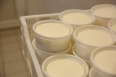Modern fabrikada kutudaki peynirli küfler, yakın plan.