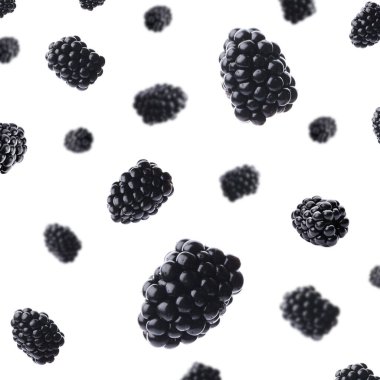 Birçok olgun böğürtlen beyaz arka plana düşer