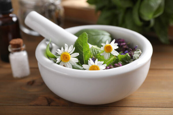 Mortar and different healing herbs on wooden table, closeup