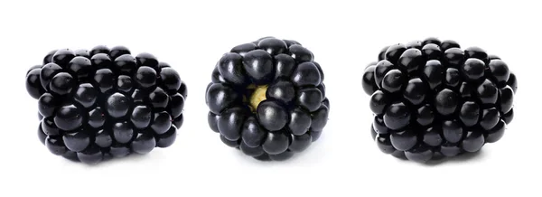 三颗成熟的黑莓 白色背景 横幅设计 — 图库照片