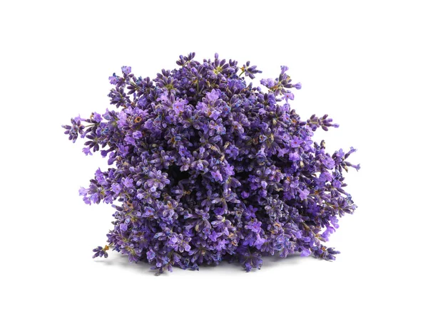 Vacker Blommande Lavendel Blommor Vit Bakgrund — Stockfoto