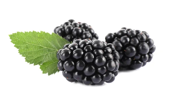 Tasty Ripe Blackberries Leaf White Background — Stock Photo, Image