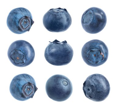 Beyaz arka planda taze yaban mersini seti