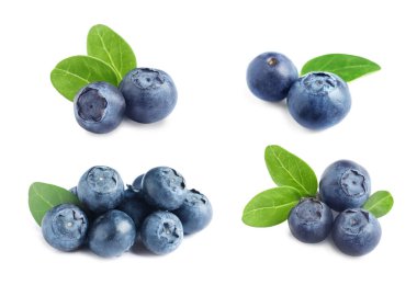 Set of fresh blueberries on white background clipart