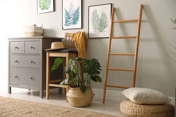 Stijlvol Interieur Met Decoratieve Ladder Monsterplant — Stockfoto