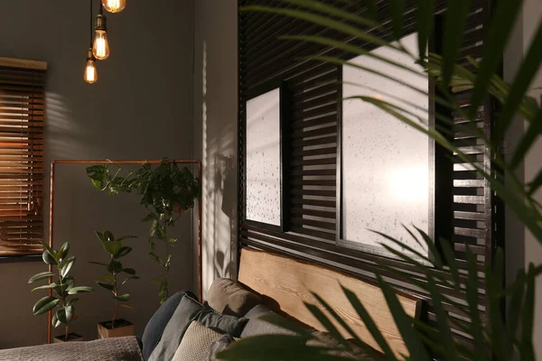 Chambre Confortable Avec Des Plantes Vertes Des Photos Sur Mur — Photo