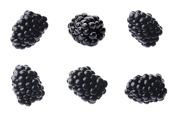 Set Ripe Blackberries White Background — Stock Photo, Image