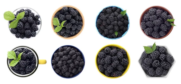 一组成熟的黑莓 白色背景 顶部视图 条幅设计 — 图库照片
