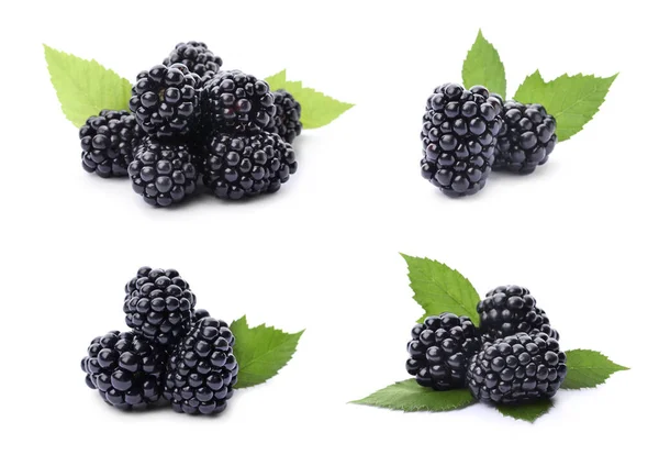 白色背景的成熟黑莓 — 图库照片