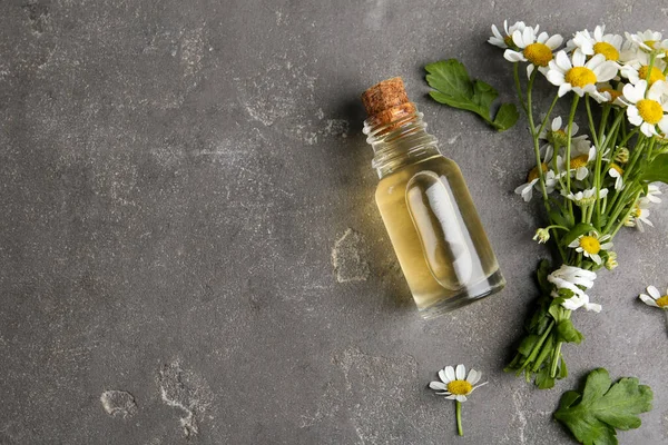 Botella Aceite Esencial Manzanillas Frescas Sobre Mesa Piedra Gris Plano —  Fotos de Stock