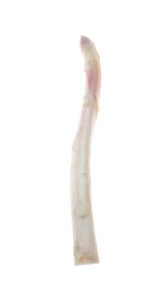 아스파라거스는 흰색으로 — 스톡 사진