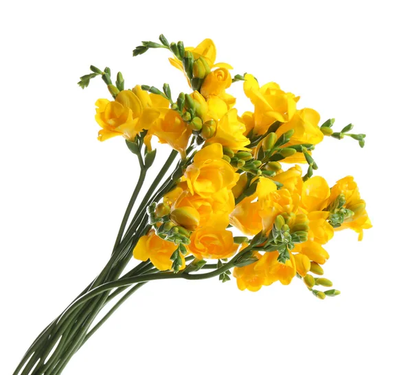 Букет Красивых Желтых Цветов Фрезии Белом Фоне — стоковое фото