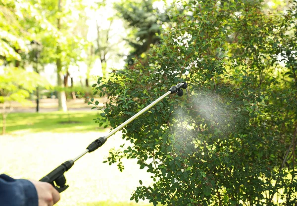 Lavoratore Che Spruzza Pesticidi Cespuglio Verde All Aperto Primo Piano — Foto Stock