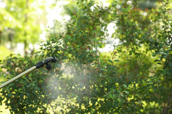 Spraying Pesticide Green Bush Outdoors Closeup Pest Control — Stock Photo, Image