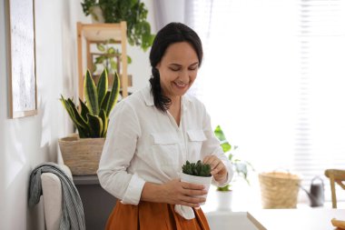 Evde sulu bitkileri olan olgun bir kadın. İlgi çekici hobi